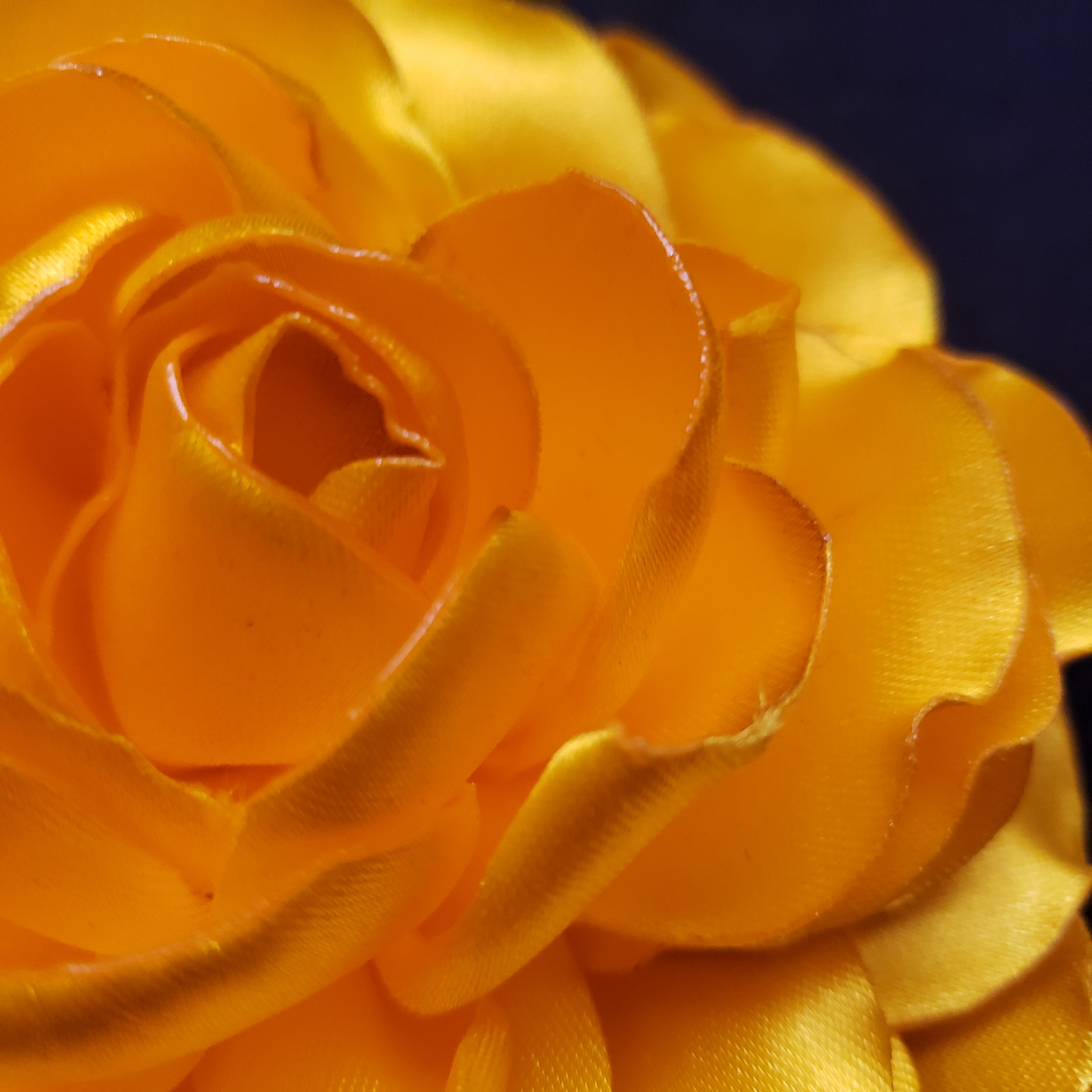 ROSA PRINCESA