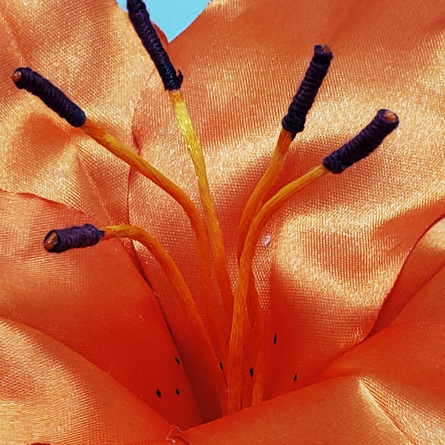 LILIBERTAD